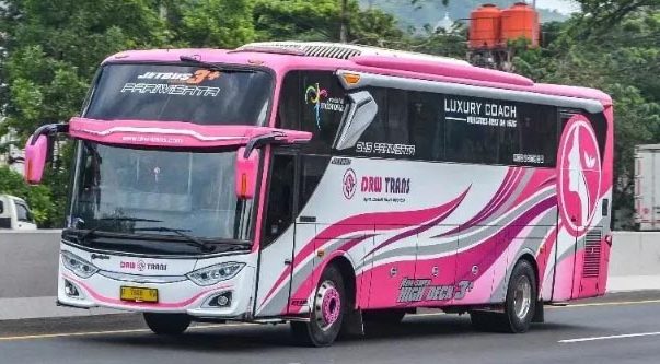 Sewa Bus DRW Trans untuk Perjalanan Wisata, Gathering, dan Rombongan
